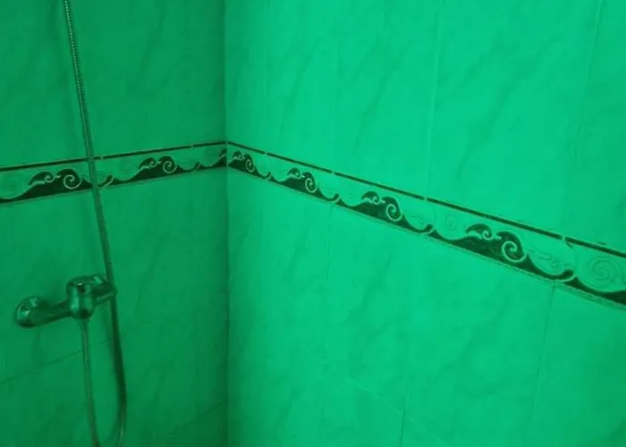 Casa S. Pedro Vila Franca do Campo